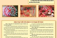 Tuyên truyền phòng ngừa, xử lý hành vi vi phạm về pháo