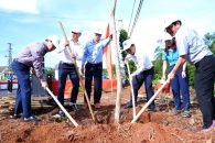NAM GIA NGHĨA PHÁT ĐỘNG “TẾT TRỒNG CÂY ĐỜI ĐỜI NHỚ ƠN BÁC HỒ” NĂM 2026