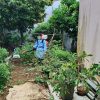 NAM GIA NGHĨA TĂNG CƯỜNG XỬ LÝ Ổ DỊCH, CHỦ ĐỘNG NGĂN CHẶN SỐT XUẤT HUYẾT LAN RỘNG