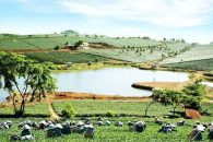 Hội Thảo Quốc Tế về Chiến Lược và Tầm Nhìn Mới cho Phát Triển Cao Nguyên Di Linh – Tạo Đà Phát Triển Mới cho Tỉnh Lâm Đồng