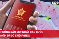 📲 HƯỚNG DẪN CÁC BƯỚC NỘP SỐ ĐỎ TRÊN VNEID, KHÔNG CẦN NỘP BẢN PHOTO 📃